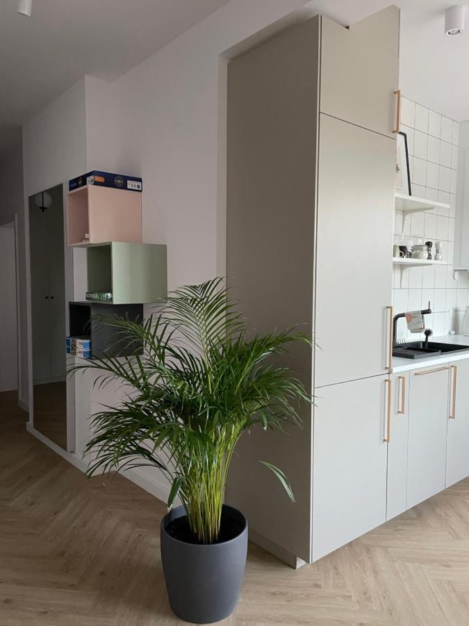 Apartament Na Letniej Z Duzym Tarasem Z Widokiem Na Gory 克沃兹科 外观 照片